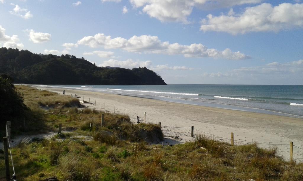 Birds Eye View Bed And Breakfast Waihi Exteriör bild