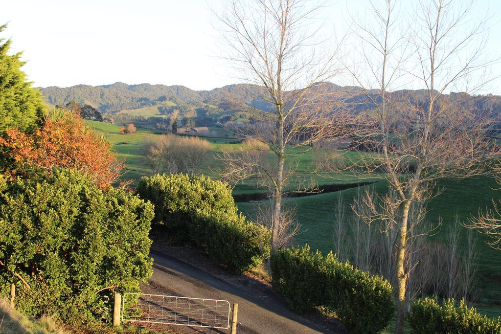 Birds Eye View Bed And Breakfast Waihi Exteriör bild