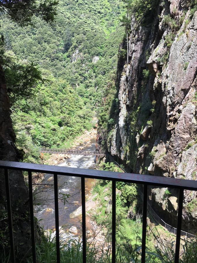 Birds Eye View Bed And Breakfast Waihi Exteriör bild